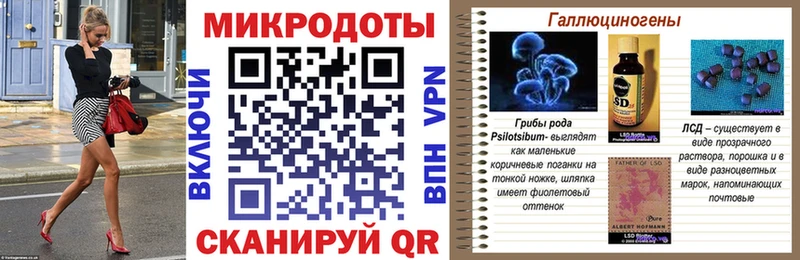 Галлюциногенные грибы Psilocybine cubensis  Гремячинск 